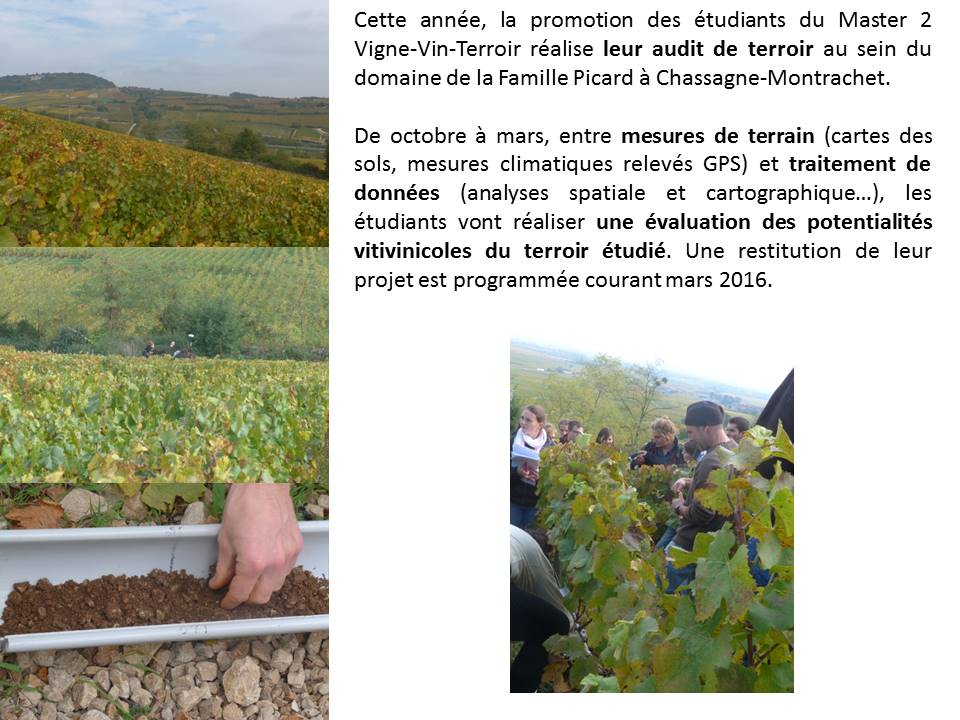 audit terroir M2VVT