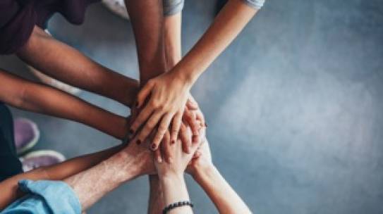 CUFPA 2025 : Soutenez l’IUVV