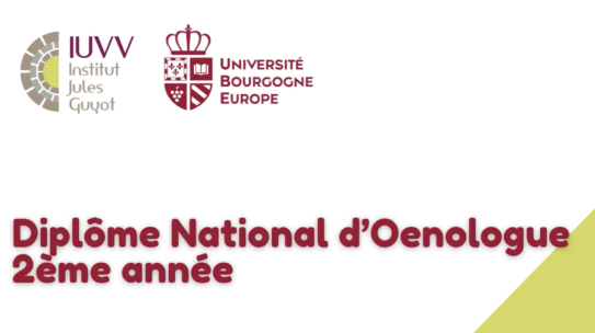 Travail dans les vignes pour nos DNO 2