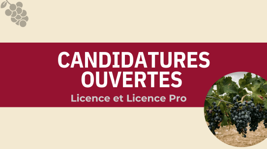 Ouverture des candidatures – L3 Sciences de la Vigne et LP Conduite Stratégique (rentrée 2026)