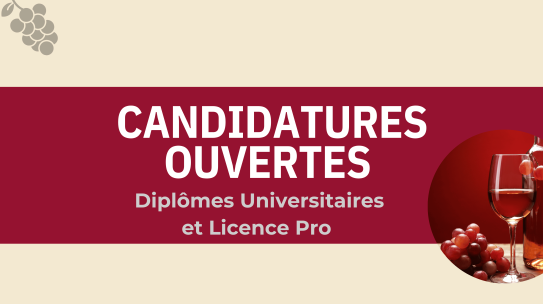 Ouverture des candidatures – LP Commerce des Vins et Diplômes Universitaires (rentrée 2026)