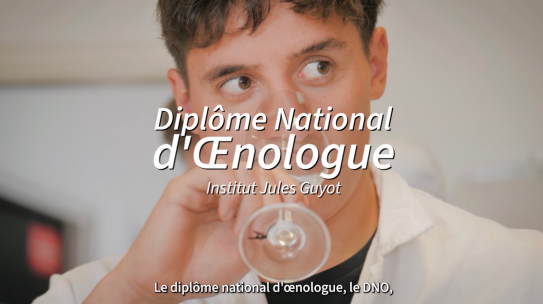Découvrez le Diplôme National d’Œnologue (DNO) en vidéo