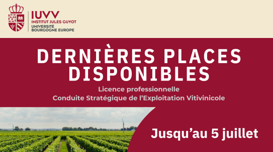 Seconde session de recrutement – Licence professionnelle Conduite Stratégique de l’Exploitation Vitivinicole
