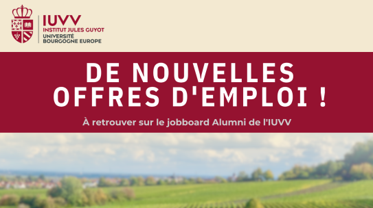 De nouvelles offres d’emploi disponibles sur la plateforme Alumni